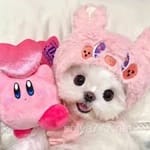 Avatar de Mia Franco